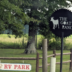 Goat Ranch